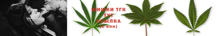 спиды Зеленокумск
