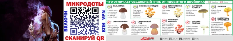 Купить закладки Суровикино Галлюциногенные грибы MAGIC MUSHROOMS